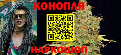 каннабис Новозыбков