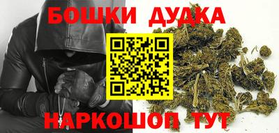 шишки Новокубанск