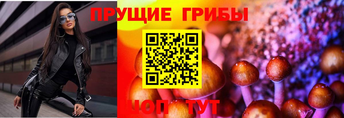 Тверь  Галлюциногенные грибы Psilocybe  Галлюциногенные грибы прущие грибы  Вход с VPN 